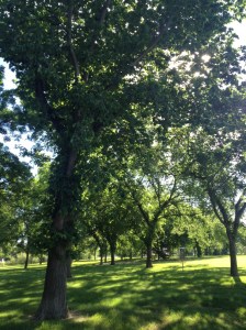 My life has unfolded in this neighbourhood - recovery and all.